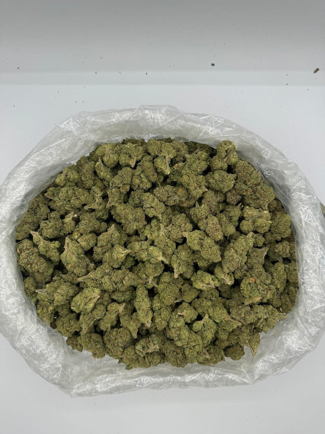 Bag of White Runtz Deps (SM) Flowers